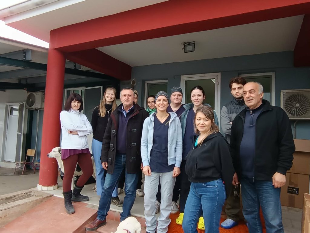 Ολοκληρώθηκε το πρώτο πρόγραμμα στειρώσεων στο δημοτικό κτηνιατρείο του Δήμου Βέροιας